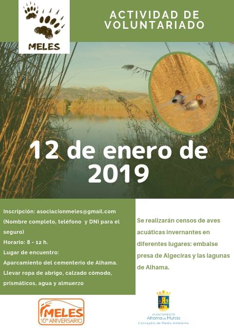 ACTIVIDAD DE VOLUNTARIADO: ACTIVIDAD DE VOLUNTARIADO: