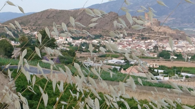 FERIA 2019: Ruta senderista corta FERIA 2019: Ruta senderista corta