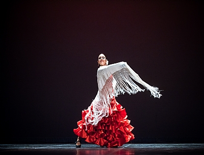 III Semana Flamenca de Alhama: La Niña de la Cueva y Anabel Delgado III Semana Flamenca de Alhama: La Niña de la Cueva y Anabel Delgado