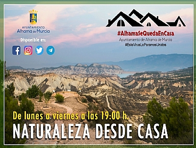 NATURALEZA DESDE CASA NATURALEZA DESDE CASA