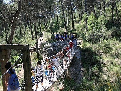 RUTA GUIADA: RUTA GUIADA: