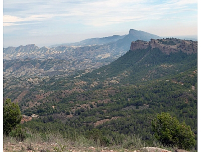 SENDALHAMA 2018: SENDALHAMA 2018: