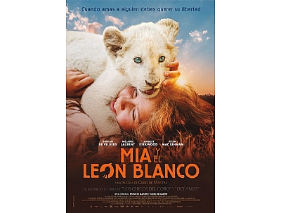 CINE: CINE: