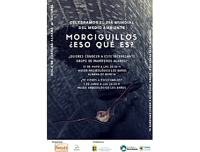 ALHAMA NATURAL: Salida a escuchar los morciguillos ALHAMA NATURAL: Salida a escuchar los morciguillos