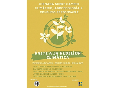 Mesa redonda: Mesa redonda: