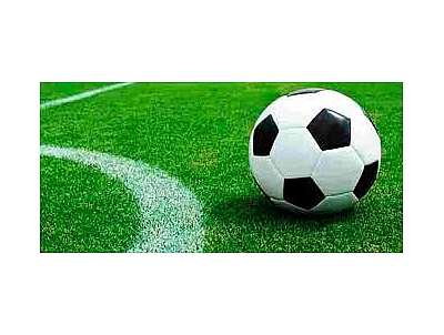 FÚTBOL PREFERENTE AUTONÓMICA.: E.F. ALHAMA BAVINOR - E.F. C.D. ALGAR FÚTBOL PREFERENTE AUTONÓMICA.: E.F. ALHAMA BAVINOR - E.F. C.D. ALGAR