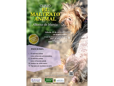 CURSO CURSO
