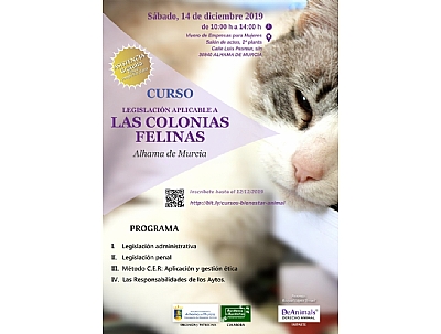 CURSO CURSO