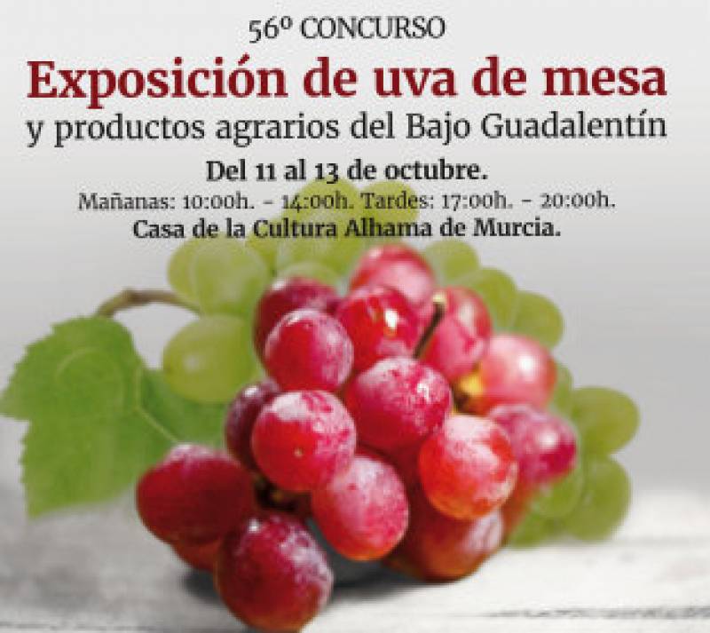 FERIA 2024: CLAUSURA de la Exposición de UVA DE MESA Y PRODUCTOS AGRARIOS DEL BAJO GUADALENTÍN. - 1