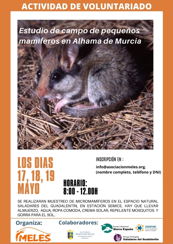 ACTIVIDAD DE VOLUNTARIADO: Estudio de campo de pequeños Mamíeros en Alhama de Murcia
