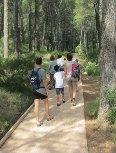 MOCHILA DE ACTIVIDADES: Ruta guiada la vida en el bosque - 1