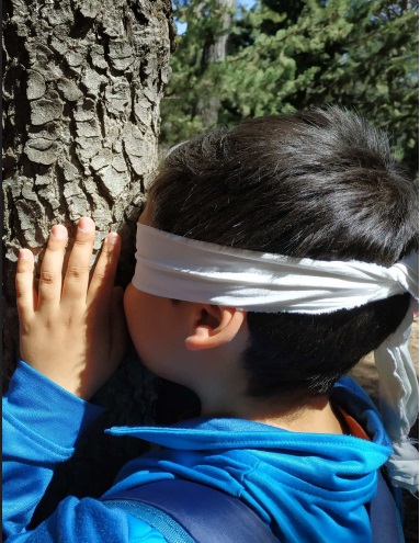 MOCHILA DE ACTIVIDADES: Connect with nature, connect with yourself (guided tour in spanish)