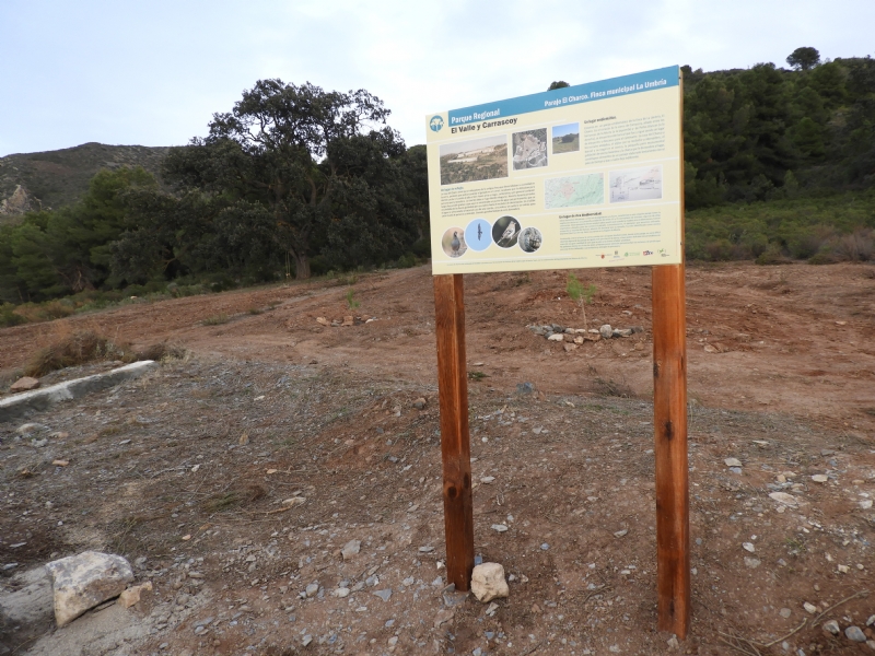 FIESTAS DE LA COSTERA 2025: 12th La Costera Hiking Route
