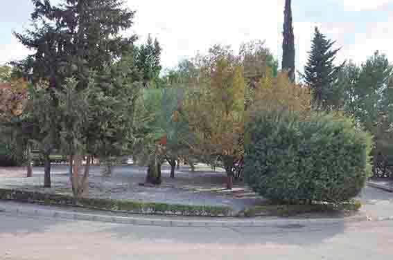 MUSIC IN THE PARKS OF ALHAMA DE MURCIA 2025