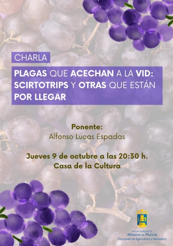 FERIA 2025: Charla 