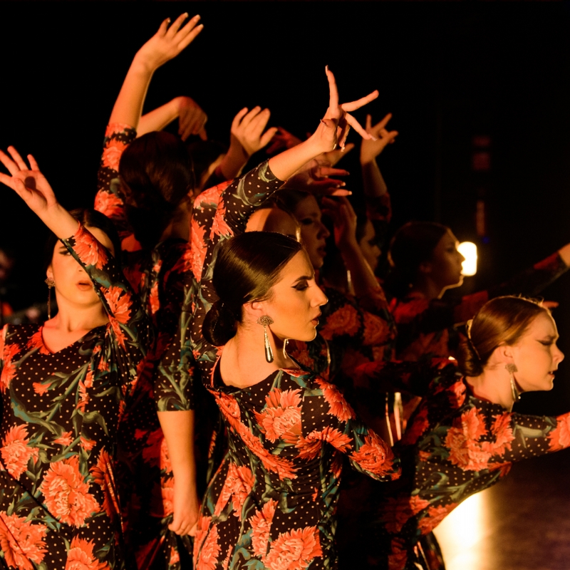 SFAM FESTIVAL 2024: Cía. Flamenca Juvenil CARMEN ROMERO