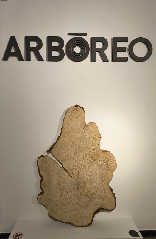 NOVIEMBRE EN VERDE, EXPOSICIÓN: ARBÓREO, LOS ÁRBOLES NOS CUENTAN SU VIDA - 1