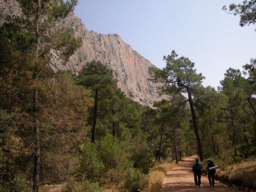 Natural Park Sierra Espuña