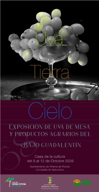 &Aacute;rea de Turismo - 1