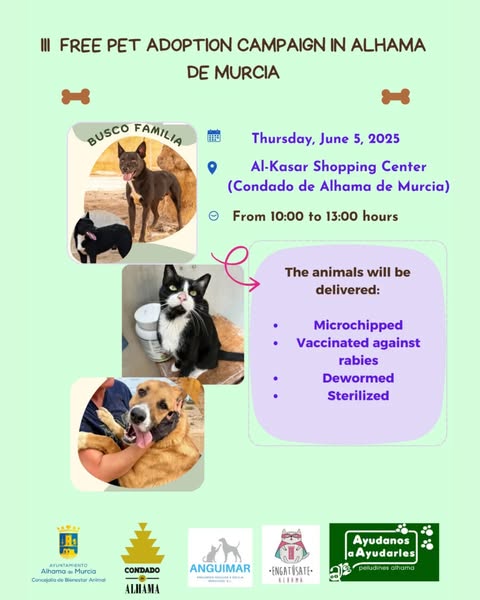 III CAMPAÑA DE ADOPCIONES GRATUITAS DE ANIMALES DE COMPAÑÍA