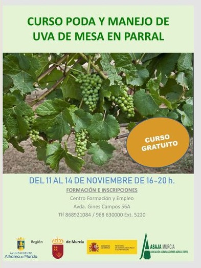 CURSO DE PODA Y MANEJO DE UVA DE MESA EN PARRAL