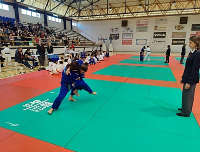 VI COPA DE ALHAMA DE JUDO Y JUDO INCLUSIVO INFANTIL Y CADETE Imagen de VI COPA DE ALHAMA DE JUDO Y JUDO INCLUSIVO INFANTIL Y CADETE