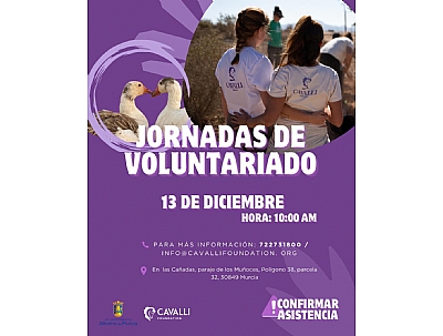 JORNADAS DE VOLUNTARIADO JORNADAS DE VOLUNTARIADO