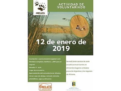 ACTIVIDAD DE VOLUNTARIADO: ACTIVIDAD DE VOLUNTARIADO: