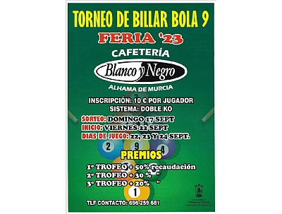 TORNEO DE BILLAR BOLA 9