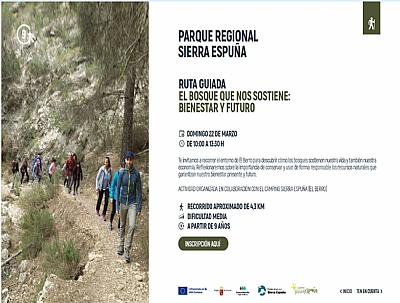 DÍA INTERNACIONAL DE LOS BOSQUES: 