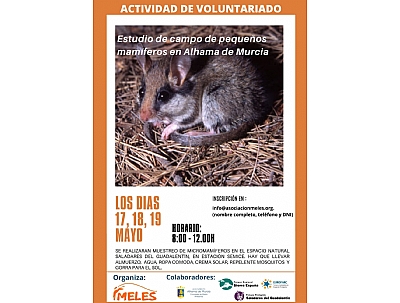 ACTIVIDAD DE VOLUNTARIADO: Estudio de campo de pequeños Mamíeros en Alhama de Murcia ACTIVIDAD DE VOLUNTARIADO: Estudio de campo de pequeños Mamíeros en Alhama de Murcia