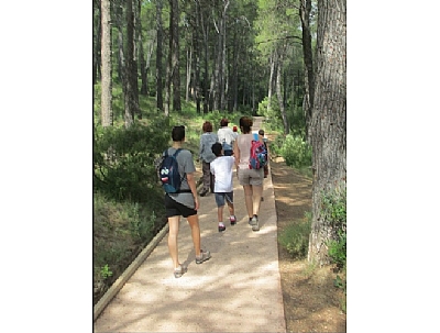 Imagen de MOCHILA DE ACTIVIDADES: Ruta guiada la vida en el bosque