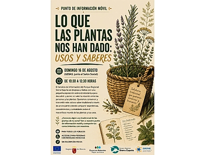 FIESTAS DE GEBAS 2026: EXPOSICIÓN 