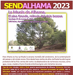 SENDALHAMA 2023: 