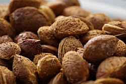 FIESTAS DE EL BERRO 2025: Almond Cracking Contest
