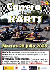 VERANO JOVEN 2025: CARRERA DE KARTS