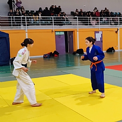 CAMPEONATO REGIONAL DE JUDO KATA y ENBU JUDO