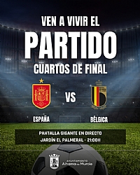 ENJOY THE SPAIN VS. BELGIUM MATCH AT EL PALMERAL