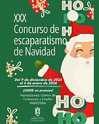 CHRISTMAS 2025: Jury Visit to the Shops registered in the 30th CHRISTMAS WINDOW DRESSING COMPETITION