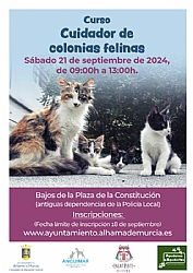 CURSO DE CUIDADOR DE COLONIAS FELINAS