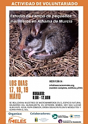 ACTIVIDAD DE VOLUNTARIADO: Estudio de campo de pequeños Mamíeros en Alhama de Murcia