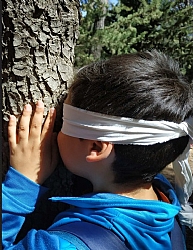 MOCHILA DE ACTIVIDADES: Connect with nature, connect with yourself (guided tour in spanish)
