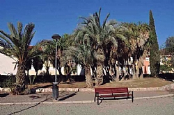 MUSIC IN THE PARKS OF ALHAMA DE MURCIA 2025: La Colla del Ramblar and Aires de Espuña groups