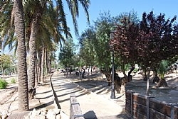 MUSIC IN THE PARKS OF ALHAMA DE MURCIA 2025
