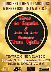 CONCIERTO DE VILLANCICOS 