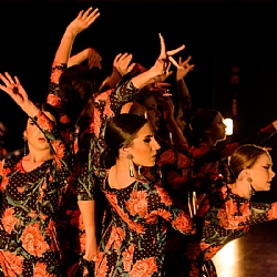 SFAM FESTIVAL 2024: Cía. Flamenca Juvenil CARMEN ROMERO