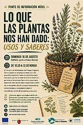 FIESTAS DE GEBAS 2026: EXPOSICIÓN 