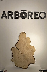 GREEN NOVEMBER, EXHIBITION: ARBÓREO, LOS ÁRBOLES NOS CUENTAN SU VIDA